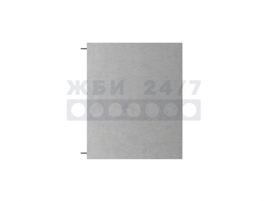 ЗП1.100/ЗП100.1.100